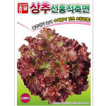 씨앗 - 선홍적축면 상추 (3,000립) : 주 조이가든센터