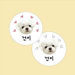 강아지 네임스티커 원형 반려동물 포토 방수 이름표 : 스티커지호