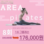 그룹레슨 8회[1개월 체험권] [아레아필라테스앤피티약대점] : 아레아필라테스앤피티