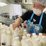 영천목장 밀크앤치즈 수제 플레인 요거트 500ml : 밀크앤치즈