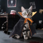 할로윈 펫 케이프 코스튬 뱀파이어 망토 마법사 의상 마녀 코스프레 의류 소형견과 고양이를 Orange : 마이벤샵