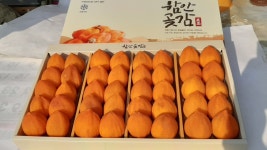상그리 함안파수 수시 곶감 건시 반건시 진상품 선물 세트 2.8kg, 40개 : 상그리농원