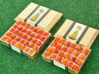 서기네농장 광양 대봉 반건시 곶감 감말랭이 설 명절 프리미엄 고급 선물 세트 반건시곶감 : 서기네농산물