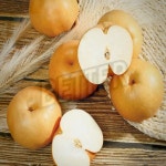 신고 배 가정용 15kg(13-20과) (상) 배구매 : better 추천 샾