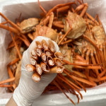 산더미 실속형 연지홍게 10kg / 30마리 내외 / 다리 수율 70% 내외 : 리얼범푸드