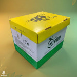 동오으뜸벌 에코벌 80마리 뒤영벌로 활력 높은 꽃가루 수정 수정벌 글로벌아그로 : 농사왕마켓