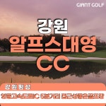 횡성 알프스대영cc 36홀에 5인플레이 가능한 1박2일 골프패키지 : 자이언트1박2일골프