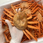 산더미 실속형 연지홍게 10kg / 30마리 내외 / 다리 수율 70% 내외 : 리얼범푸드