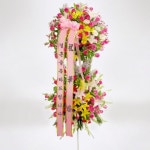 꽃톡 축하 2단 오브제 화환 개업 결혼식 전국 꽃배달 화분 C212 : 꽃톡 사구플라워