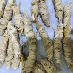 단백질 가득 오래 먹는 황카츠 : 노랭보랭