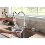 Pfister 951-2900 배관 장비 Black : 스마트슈-퍼