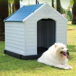 강아지집 개집 야외 실외 대형견 마당 반려동물 조립식 강아지 도그하우스 : 아모르직구다