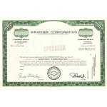 래더 코퍼레이션 : 단감1