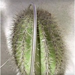 2025 핫 스타일 메탈 숏 가든 호스 3피트 커넥터 세트, 제습기용 배수 호스 고압 릴 익스텐더 : 소이비종합상사