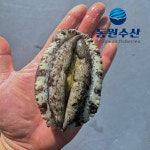 [동원수산] 산지직송 완도전복 14-15미 1.5kg, 1개 : 산지직송 완도전복 특가
