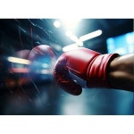 스포츠 운동 복싱 주먹 글러브 권투 체육관 스파링 링 도장 파르텔 벽지 시트지 롤스크린 : 으뜸데코