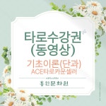 ACE 타로카운셀러 기초이론 동영상 강의수강권(단과) : 홍인문화원