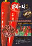 슈퍼스타골드 고추 1,200립 중조생종 극대과종 청고병 탄저병 역병 복합내병성 약간매운맛 고추 씨앗 흥국시드 : 정산흥농종묘농약사