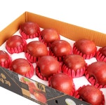 강원 평창 고랭지 사과 고당도 부사 10kg 가정용 선물용 : 평창청암농장