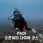 [부산]스쿠버다이빙 PADI 오픈워터 다이버 코스 : DiveON