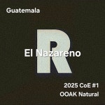 [2025 CoE 1위 농장] 과테말라 엘 나사레노 CoE #1 나뚜랄  1kg : 레규리어