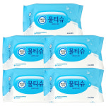 깨끗한나라 페퍼민트 휴대용 물티슈 30매 X 5팩 : 모얼아이리스