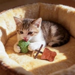 3PCS 피쉬 본 고양이 , Purrident - 고양이 u2019s , 피쉬 본 모양 고양이 이빨, 나무 고양이 이빨 청소 스틱, 천연 피쉬 본 고양이 , 내구성... 