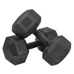 10키로 덤벨 뎀벨 홈트 헬스장 무게 운동 아령 10kg 2개 : 공감의 미