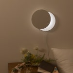 [BELLA LUNA] 달무드등 벨라루나 : COMPANERO