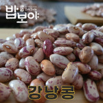 충북 충주 25년산 국산 강낭콩 500g 호랑이콩 양대 호랑이강낭콩 : 밥보야