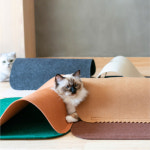 피단 펠트 고양이 놀이 터널 숨숨집 놀이터 : 심콩 : 스토어