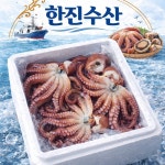 동해안 국내산 자연산 문어 2.5kg 직접조업 손질문어 : 한진 수산