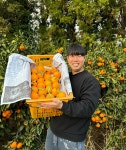 유통하맨x파머들 제주 한라봉 서귀포 꼬마 대과 왕 제수용 3kg 5kg 10kg : 파머들