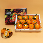 [서귀포농장] 비파괴 당도선별 햇수확 한라봉 선물형/벌크형 2KG-5KG : 올뉴엣홈