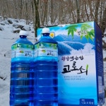 서기네농장 광양 백운산 고로쇠 수액 고로쇠물 1.5L 6병 : 서기네농산물