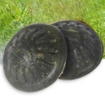 소르온 펫 트릿 Small 34g 바닐라 강아지간식놀이 펫간식 : 소르온