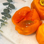 고당도 프리미엄 대봉 대봉꿀건시 8입 1팩 : 백수네상회