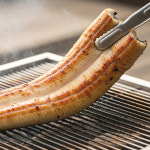 100% 자포니카 민물장어 당일손질 생물 초벌 1kg 2-3미 [실중량 700~720g] : 마켓친구