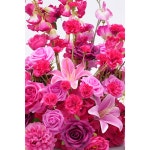 H8971 2pcs/19inch 핫 핑크 인공 달리아 백합 통로 바닥 꽃 꽃다발 웨딩 배경 테이블 의자 센터 피스 장식 : 오모아유통