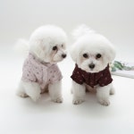 [개순이데일리] 잔꽃 발열 패딩 강아지 고양이 외출복 하네스패딩 : 개순이상점