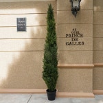 대형 인공 사이프러스 녹색 바닥 식물 나무, 화분 포함, 크리스마스 장식, 실내 장식품, H2042, 4.92, 5.9, 6.88, 7.87ft : 오모아유통