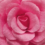 꽃다발 꽃선물 종이공예 자이언트꽃 : PinkooFlora