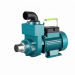 슬러지펌프 정화조 오물 펌프 연못 하수 450W 10년 흡입 전기 : 미리내쇼핑샵