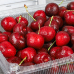 프리미엄 고당도 칠레 체리 특대과 500g 1kg 2kg : 꿀꿀과일
