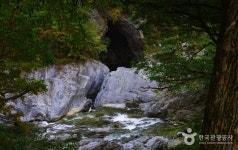 [부산출발] 설경투어 V-트레인 협곡열차 분천산타마을  단하루 2월1일 출발 와우(wow)부산여행사 : 와우부산여행사