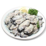 통영 최상급 제철 생굴 1kg 깐굴 김장용 횟감용 : 태림씨푸드