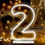 ATTNEON 번호 2 네온사인, 결혼식, 생일, 파티, 기념일을 위한 LED 조명, 홈 라이트, 라이트 데코, 바 사이즈 11 8 27 인치 JTLD104  Number... 