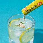 다농원 데일리 콤부차 레몬 5g 20개입, 1개 : 코스타마트