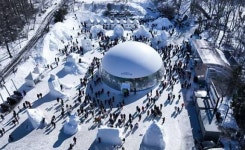 [부산출발] 태백산 눈축제 당일여행 우등버스 출발 봉화분천역 경유 : 스마일여행사