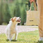 댕그라운드 산책가방 & 홀더똥츄 (셋트) : 댕그라운드